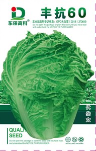 丰抗60