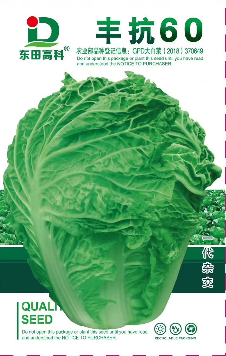 丰抗60