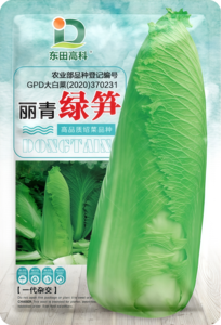 绿笋