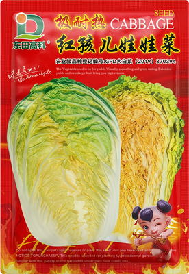 极耐热红孩儿娃娃菜