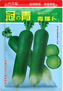 A--冠青萝卜1