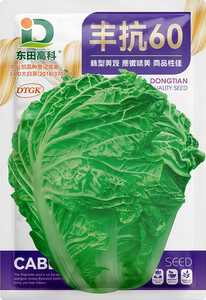 金品丰抗60