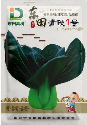 东田青梗1号