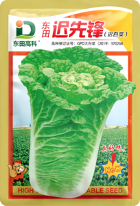 东田迟先锋