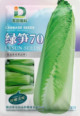 绿笋70