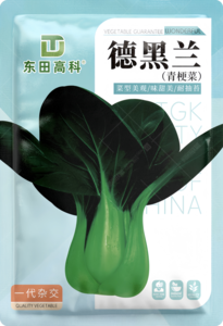 德黑兰