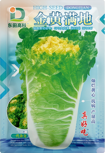 金黄满地