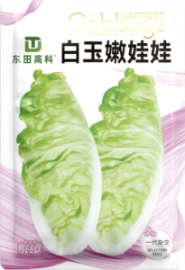 白玉嫩娃娃