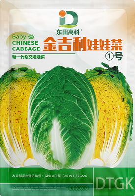 金吉利娃娃菜①号