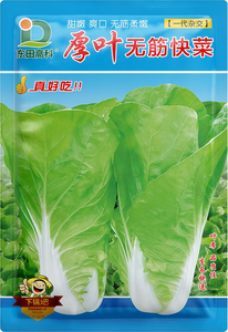 厚叶无筋快菜