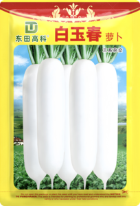 白玉春萝卜