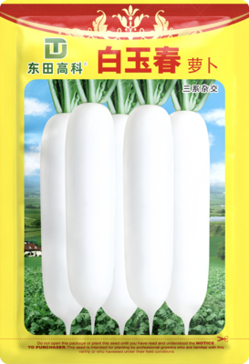白玉春萝卜