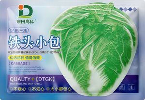 北京铁头小包