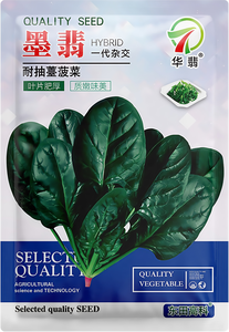 墨翡
