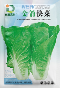 东田金箭快菜