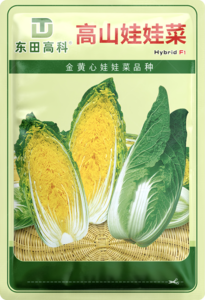 高山娃娃菜