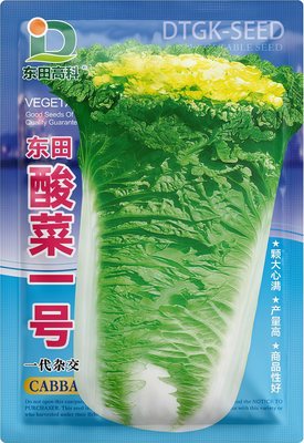 东田酸菜一号