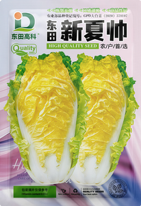 东田新夏帅