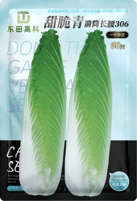 甜脆青箭筒长腰306